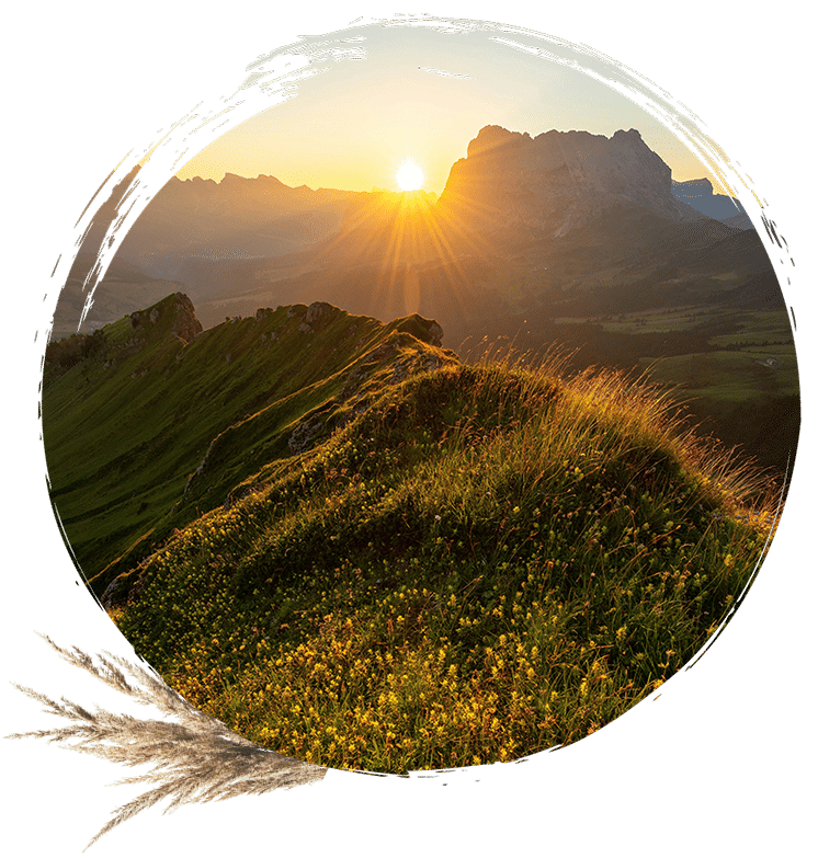 Hero Image nature